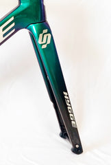 Model S carbon fork
